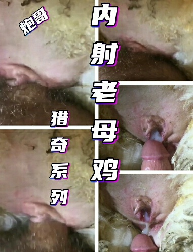 《人狗》黑妹的臀真的好看让狗给操了