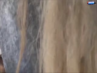 【暗网】人马情农场大种马的性福时刻真实马屌插入,颜射一脸