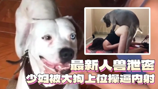 【白狗VS金发贵妇】被白狗红鸡巴操到整屋子啊啊乱叫~！
