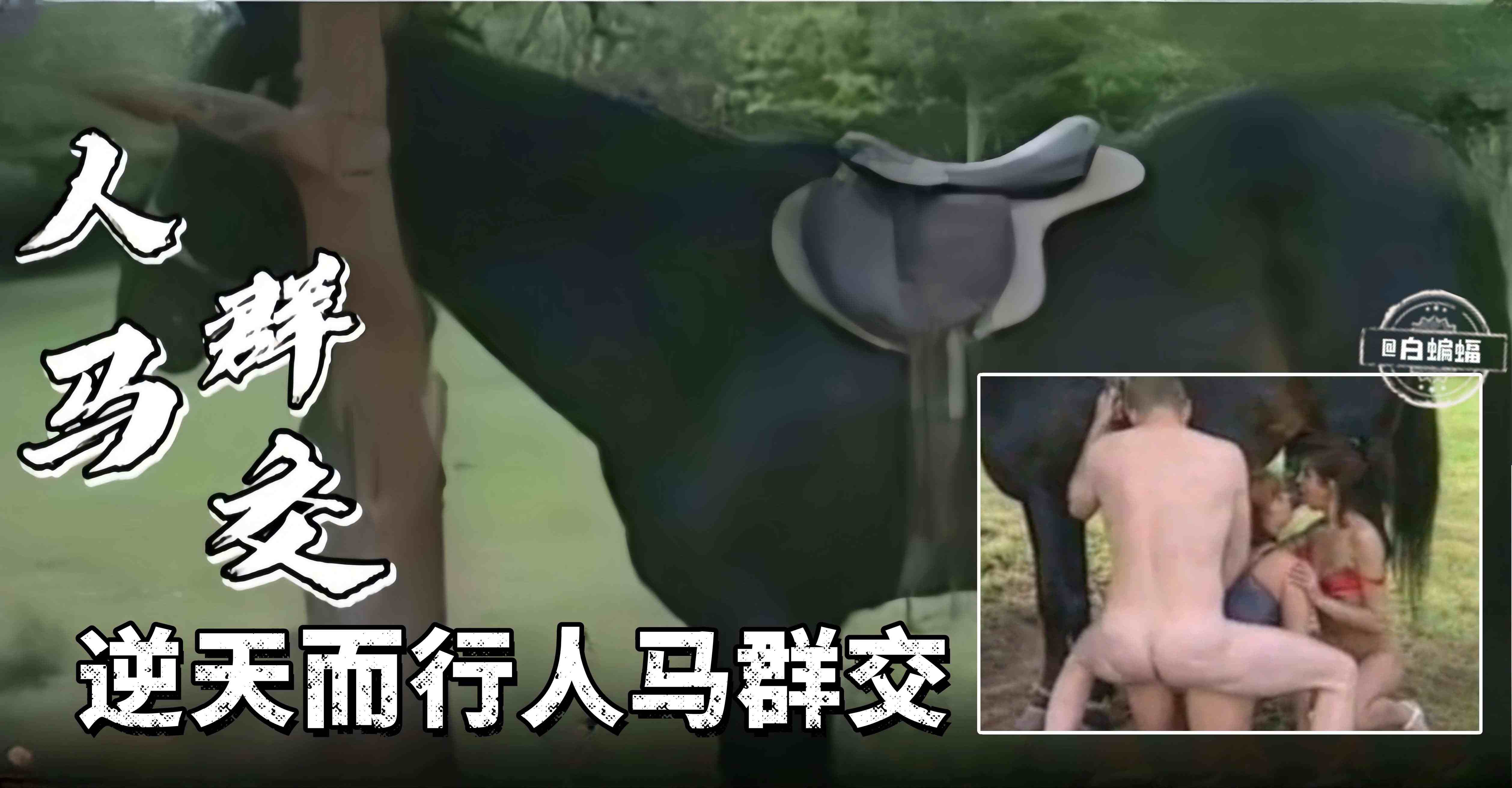 【俄罗斯-暗网流出】被狗几把从小翘臀强行后入被操的高潮内射会怀孕吗