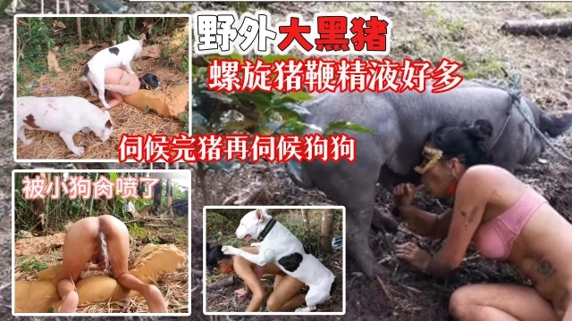 【稀缺合集】稀缺高清资源二小时合集！猪马狗鸡蛇重口全网一网打尽