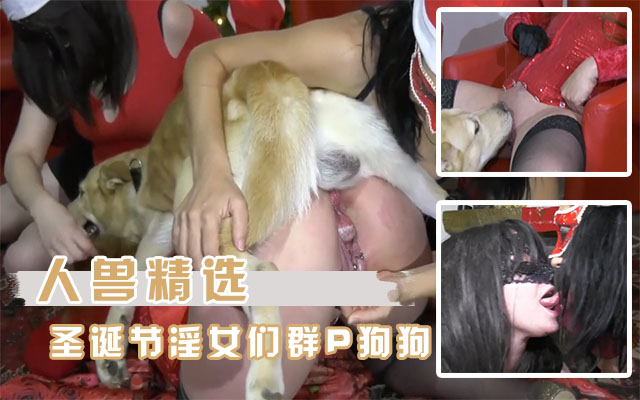 【性爱】宁可给狗操绝不给人操人妻被渣男出轨后只跟狗狗做爱！户外野战狗狗内射了三次！
