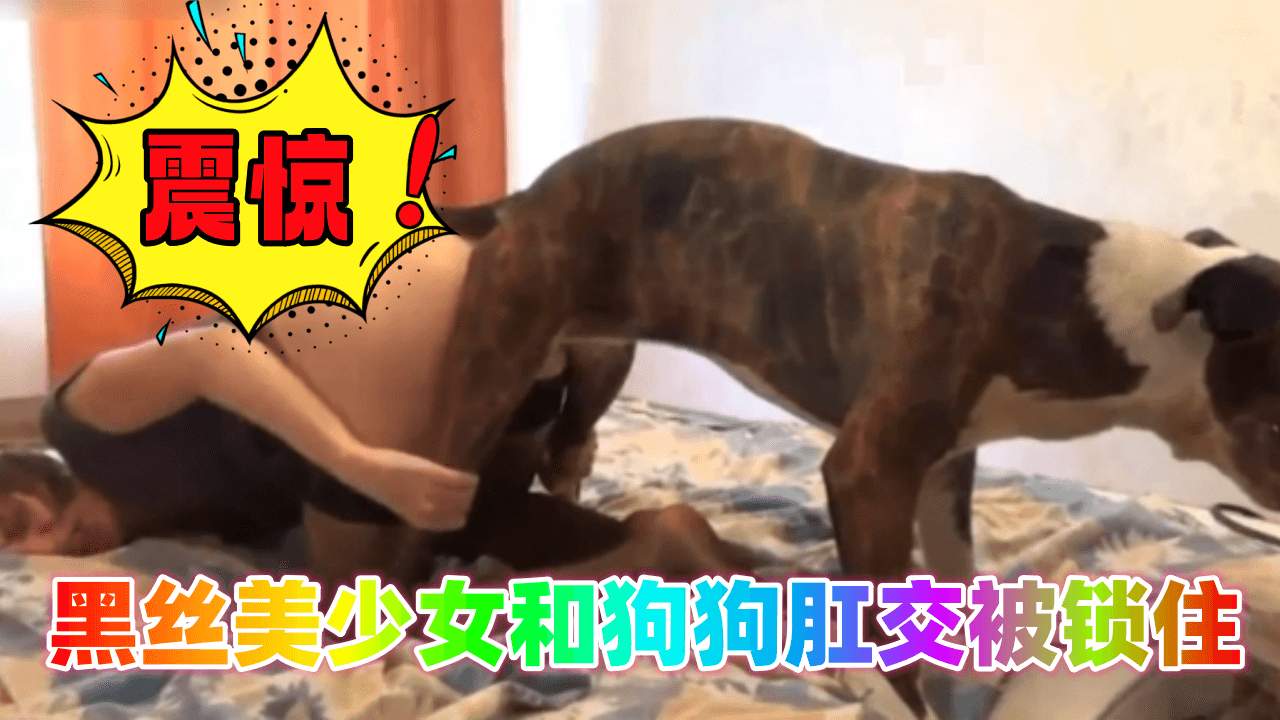 【震惊】黑丝美少女和狗狗肛交被锁住！深情人狗系列