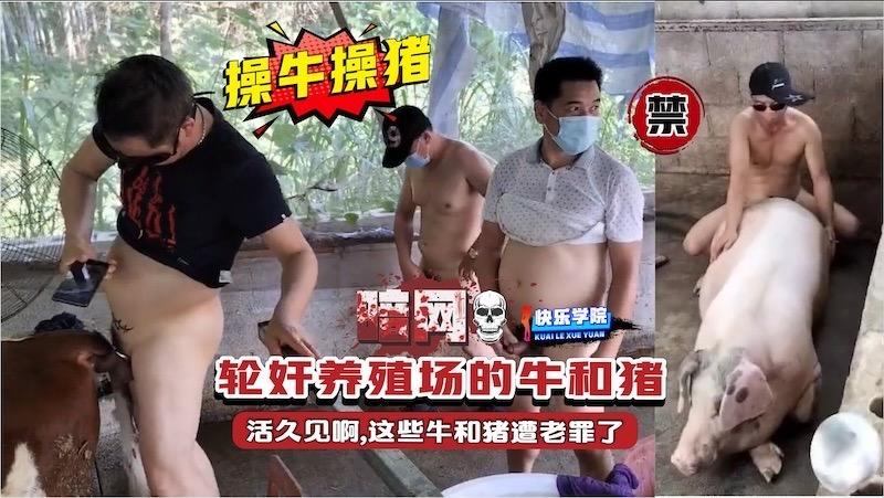 【最新系列】狗狗一天不操人就嗷嗷大叫看见美女就扑上去就操逼