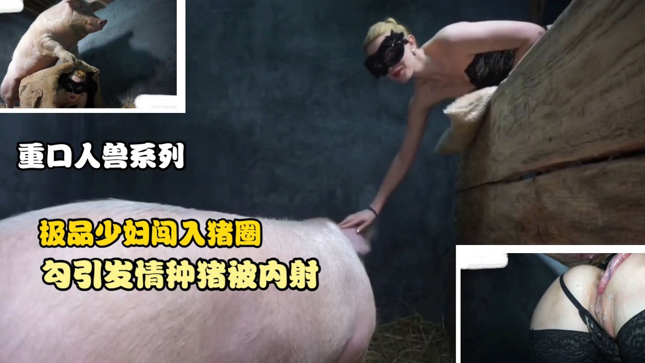 【重口系列】极品少妇闯入猪圈勾引发情种猪被内射