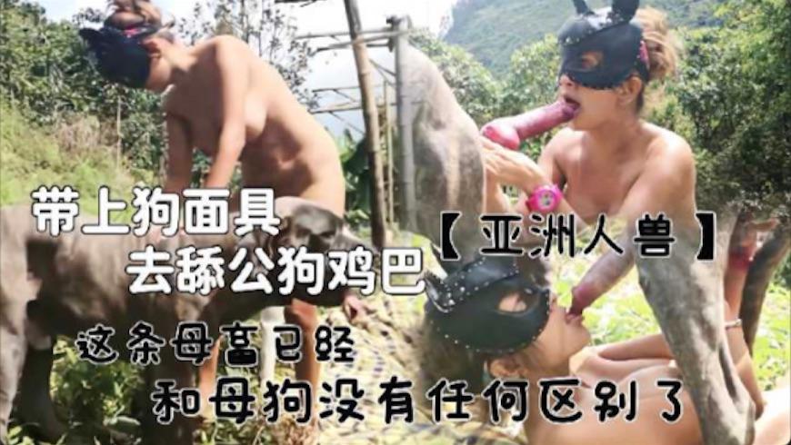 带上狗面具去舔公狗鸡巴这个荡妇已经和母狗没有任何区别了