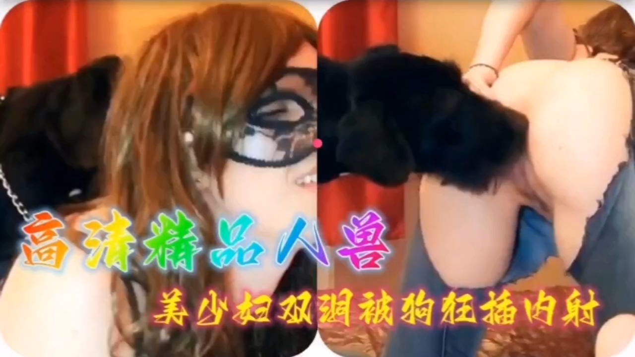 高清精品美少妇双洞被狗狂插内射