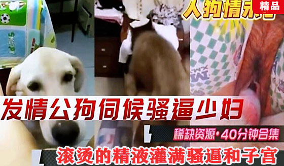 发情公狗伺候骚逼少妇骚逼和子宫里灌满了滚烫的精液