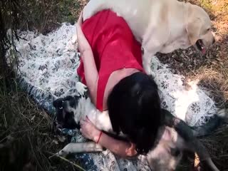 黑丝少女户外小树林跟两只狗狗野战前后夹击轮流内射