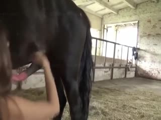 重口人畜娇小少妇享受黑马的大肉棒